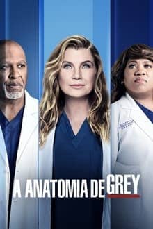 A anatomia de grey